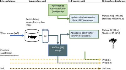 Plants Dictate Root Microbial Composition in Hydroponics and Aquaponics